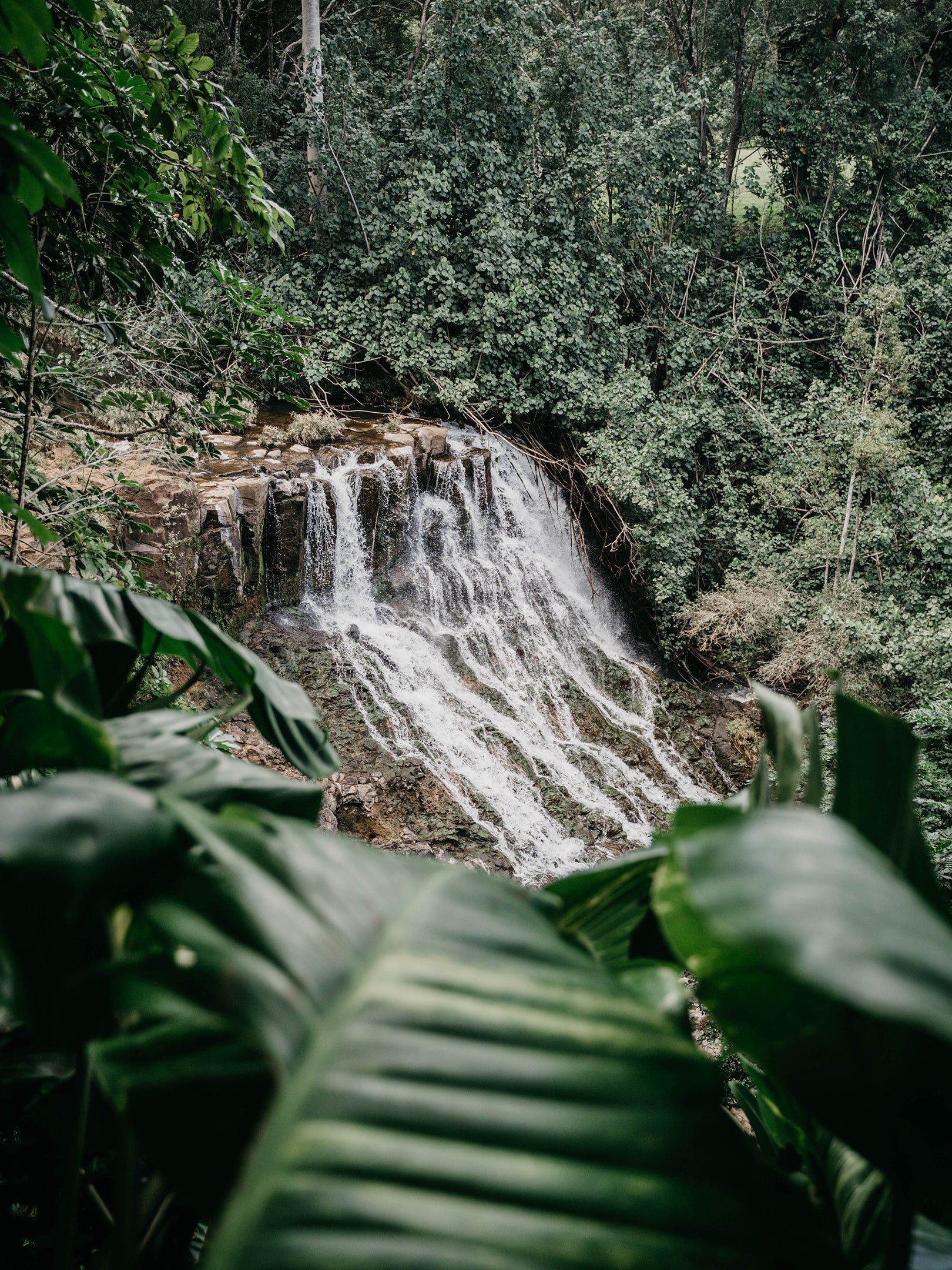 Ho’opii Falls, Kauai Vertical